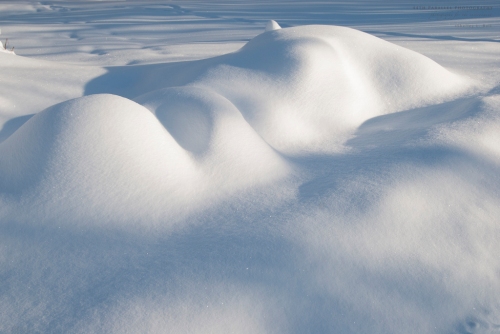 Mounds of snow sculpted by the wind.